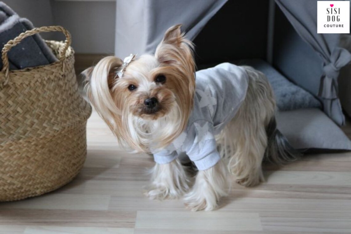 Xs dog cloth Designer xxs yorkie dog clothes Warm big dog Etsy