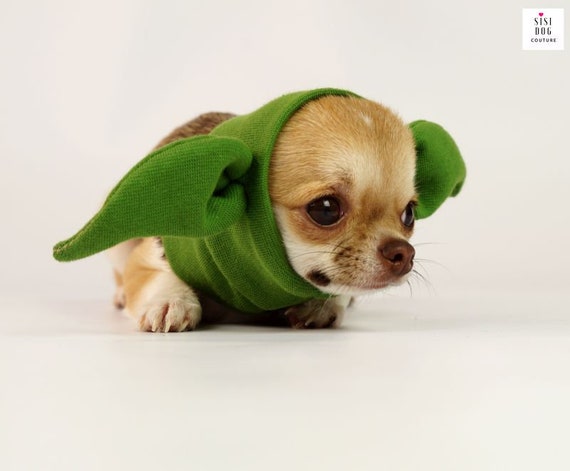 Snood for dogs Dog hats Dog costume Chihuahua hat Star | Etsy