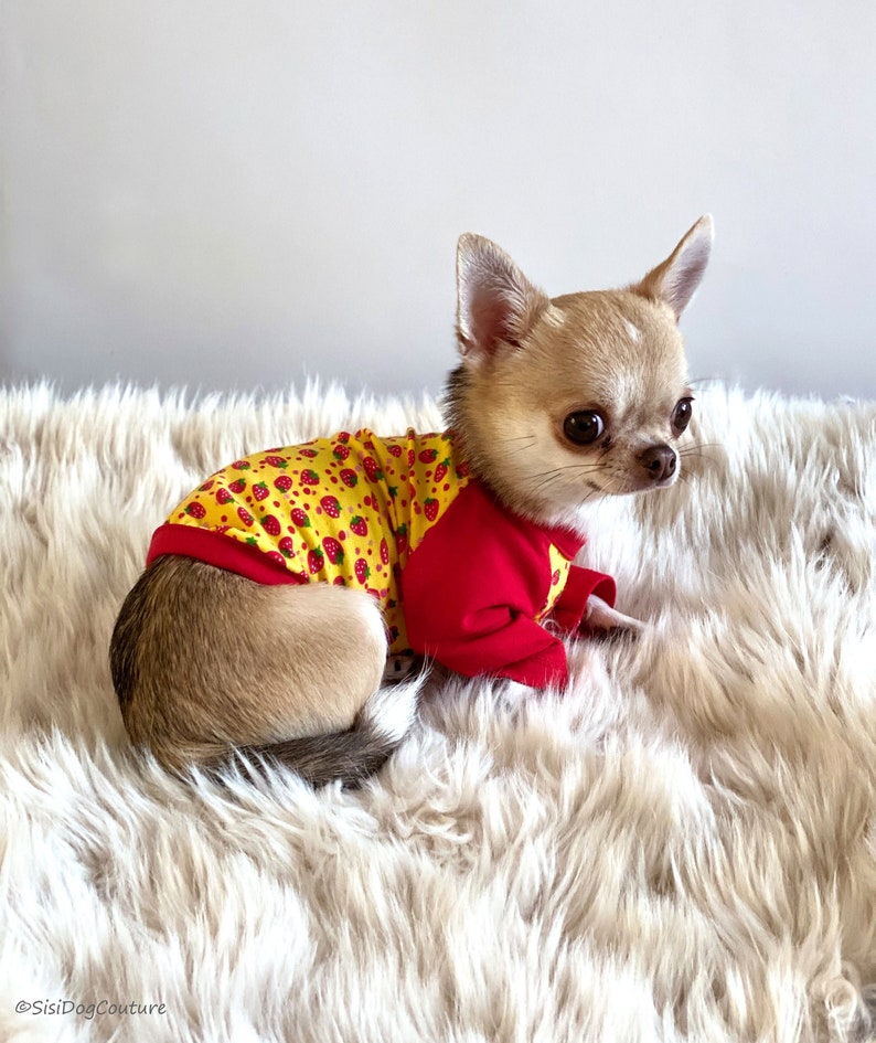 chihuahua t shirts for dogs