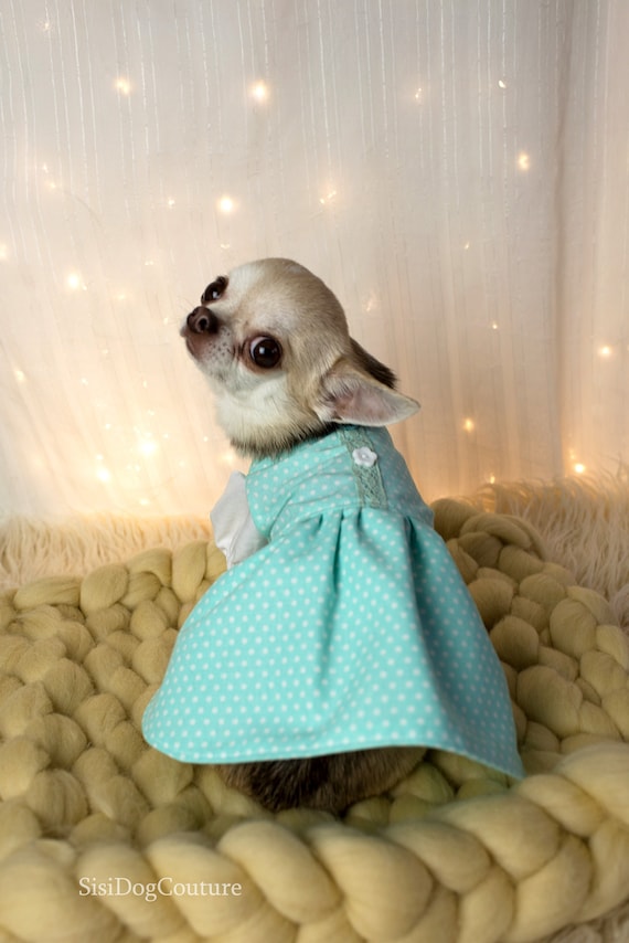blue dog dress 100 % Cotton - Small Size - Pet Dress - length 9 Xsmall Wedding guest dresses Cocomelon Birthday Outfit | Size:Pre-order 5XL