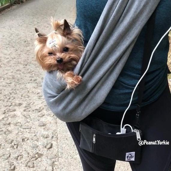 Yorkie carrier cheap