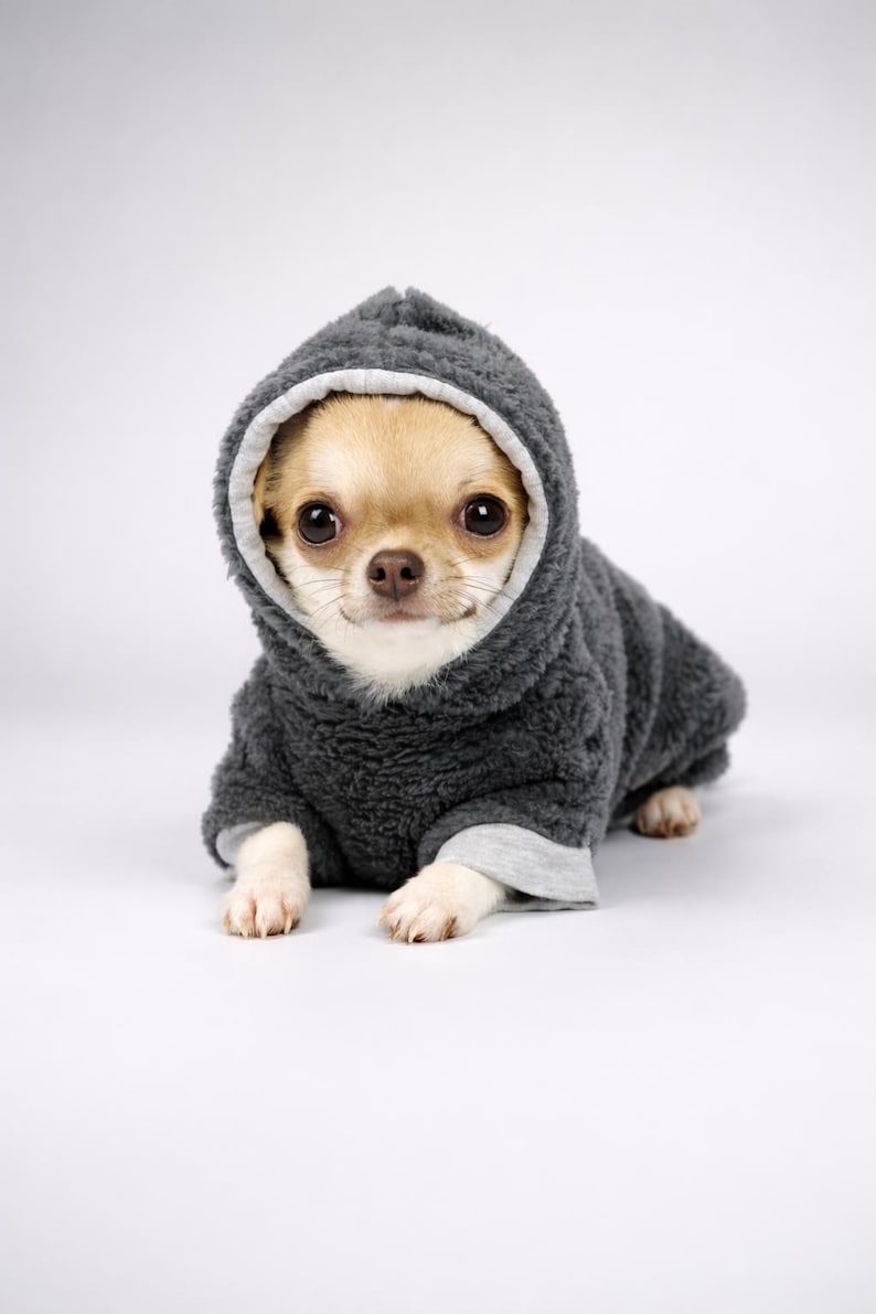 100% Minky Plush Chihuahua Jumpsuit – Chihuahua Clothes, Small Dog Onesie, Gray image 1