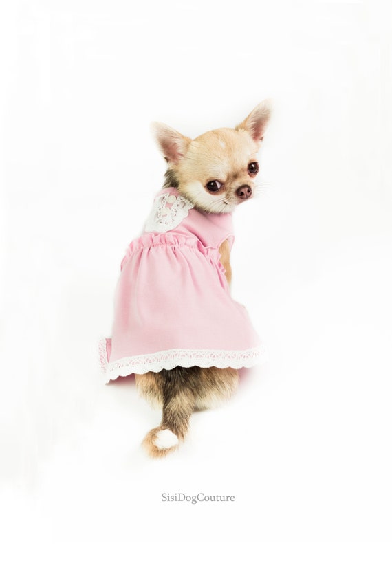 small dog dresses