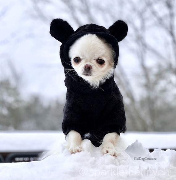 Chihuahua Hoodie - Black Chihuahua Hoodie - Black