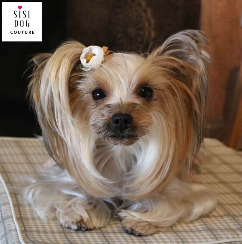 dog hair pin