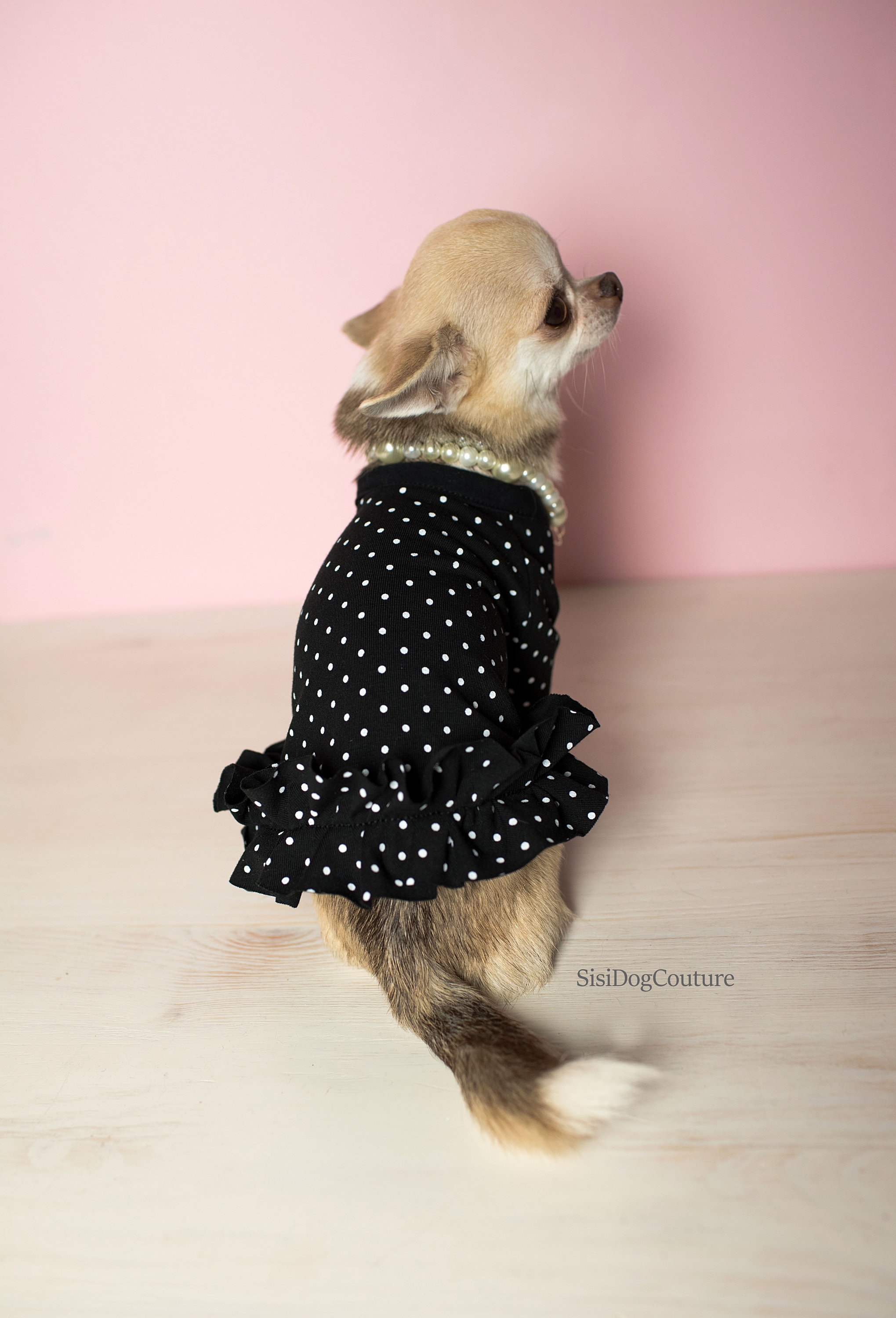 水玉模様のフリル付き犬用ドレス：エレガントなコットン製ペット服