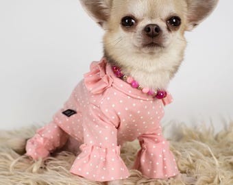 Puede incluir: Un perro chihuahua pequeño y de color claro, vestido con un conjunto rosa con lunares blancos, mangas con volantes y un collar a juego. El perro está sentado sobre una alfombra esponjosa de color crema, con un fondo blanco liso.