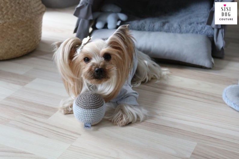 Xs dog cloth Designer xxs yorkie dog clothes Warm big dog Etsy