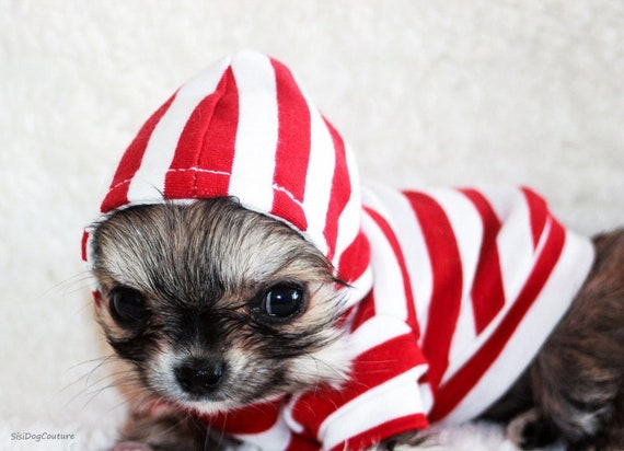 Red and white striped dog pajamas 2025
