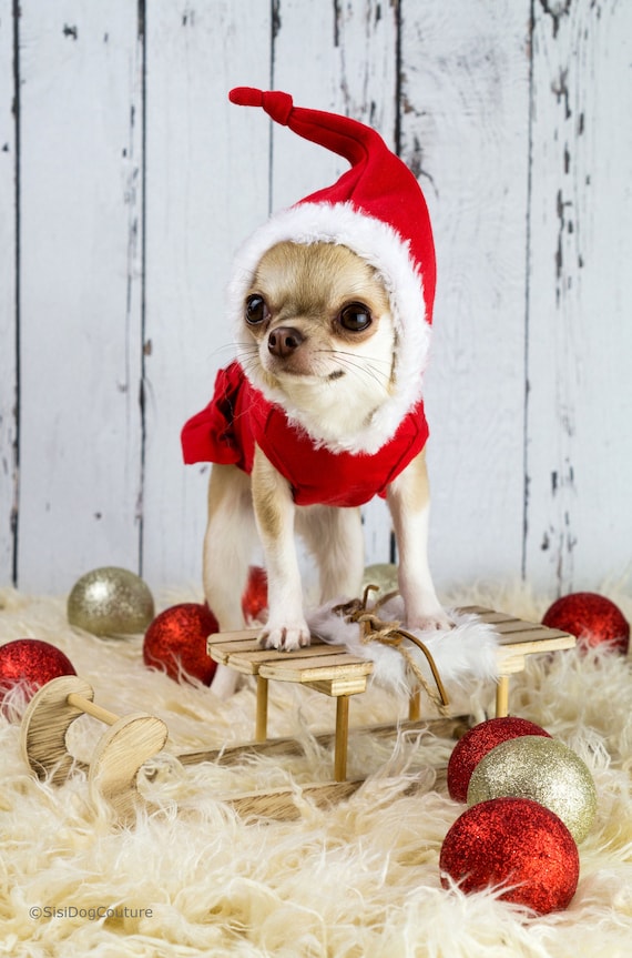 chihuahua christmas dress Handmade Santa Dog Costume: Christmas Cotton Dress