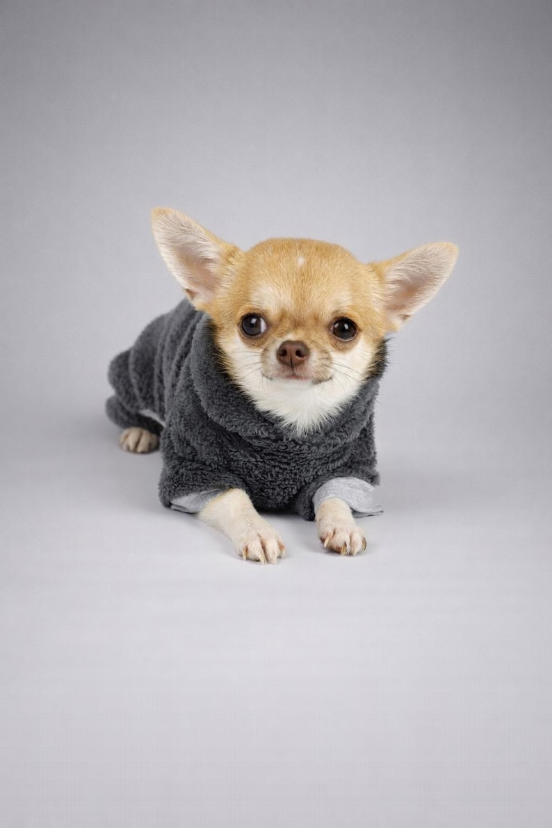 100% Minky Plush Chihuahua Jumpsuit – Chihuahua Clothes, Small Dog Onesie, Gray image 12