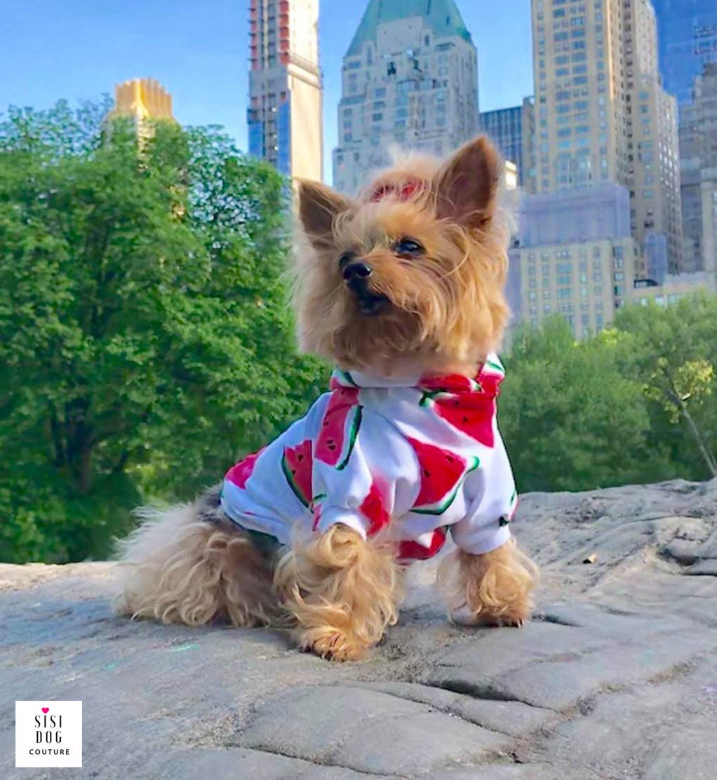 Small size dogs Small dog clothes Dog clothes Dog hoodie Etsy