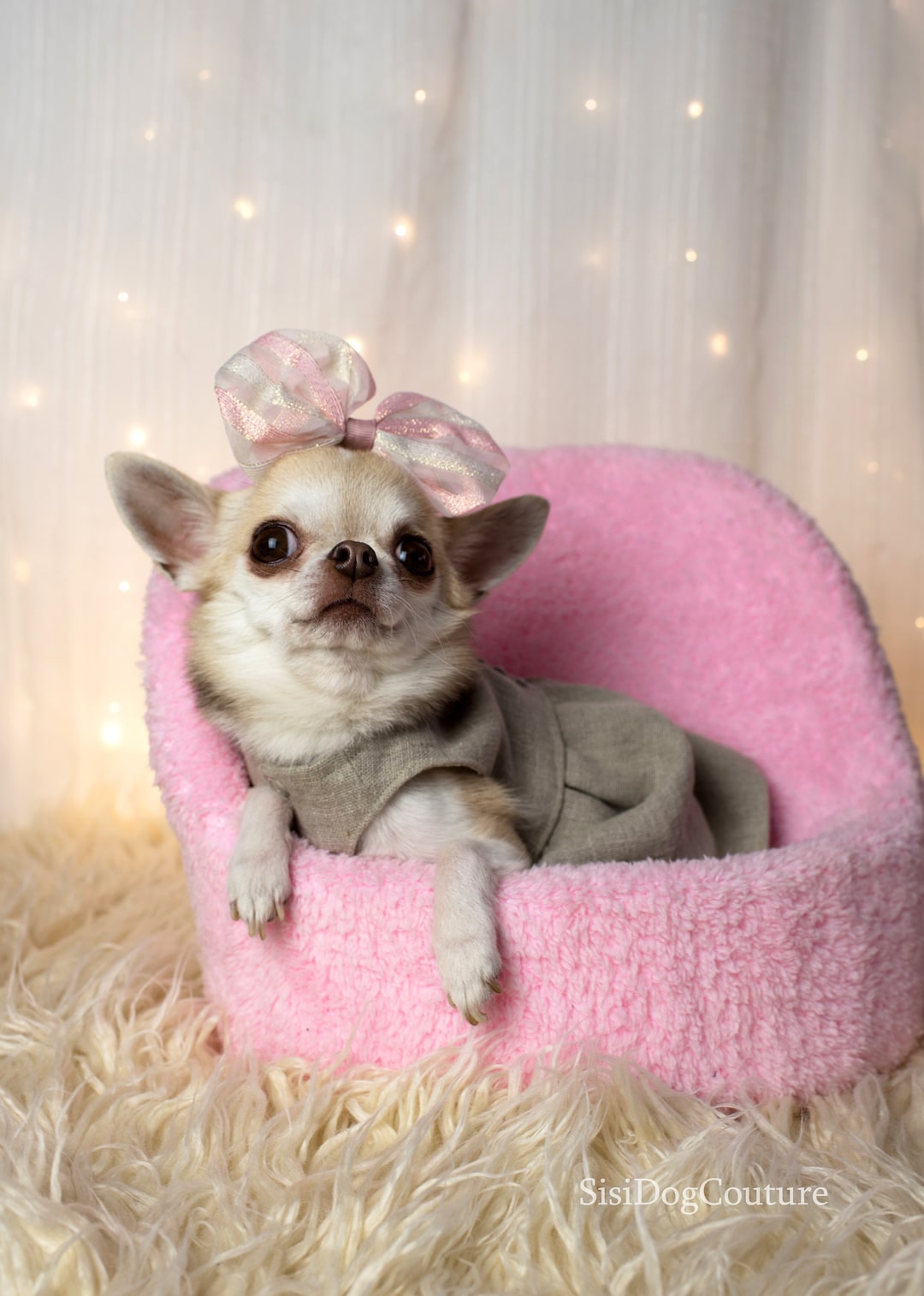 Sueter Para Ropa Para Perros Chihuahua Mercadolibre Pequeños