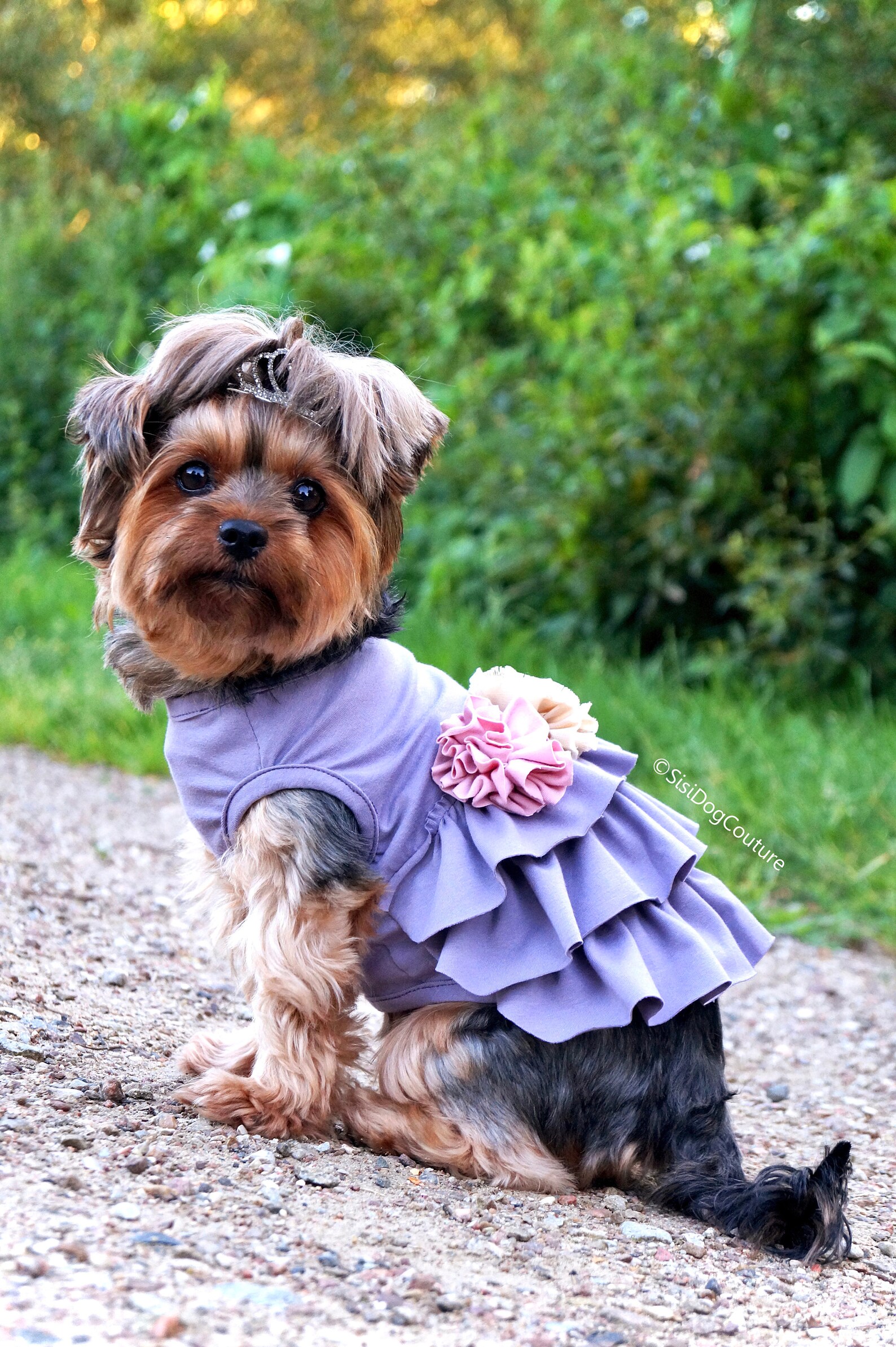 Dog Dress Dog Clothing Dog Tutu Clothes for Dog Small Dog Etsy