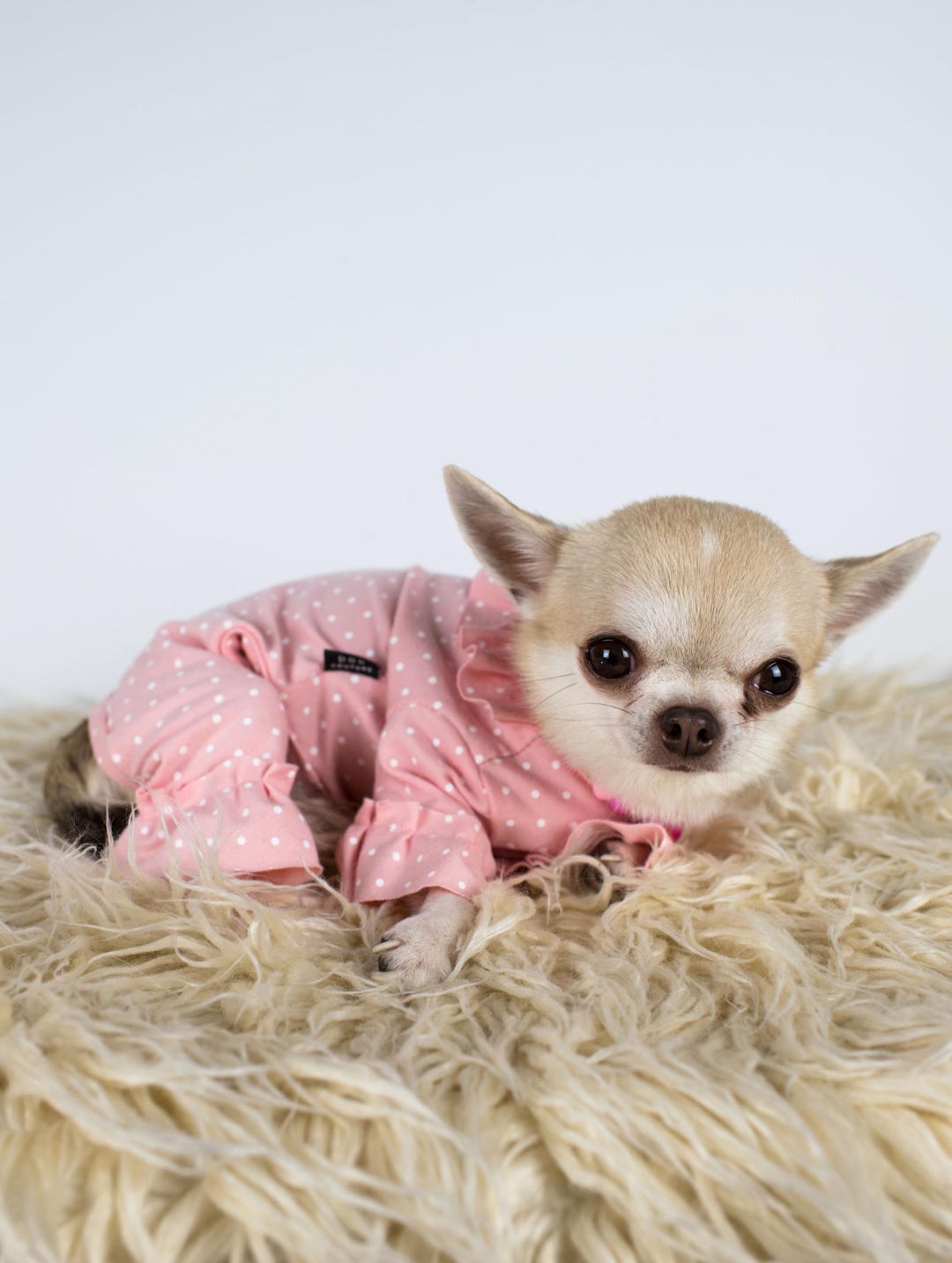 Mono rosa con volantes para perro: mono de algodón para mascotas - Main Image