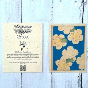 Tarjeta de semillas de flores silvestres plantable // Impresión japonesa antigua // Eco-Friendly