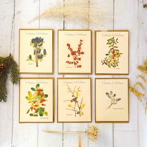 Cartões de sementes plantáveis de férias em massa de 100 quilates com envelopes || Papel de sementes de flores silvestres plantáveis || Apoia mulheres no Nepal || Ecológico