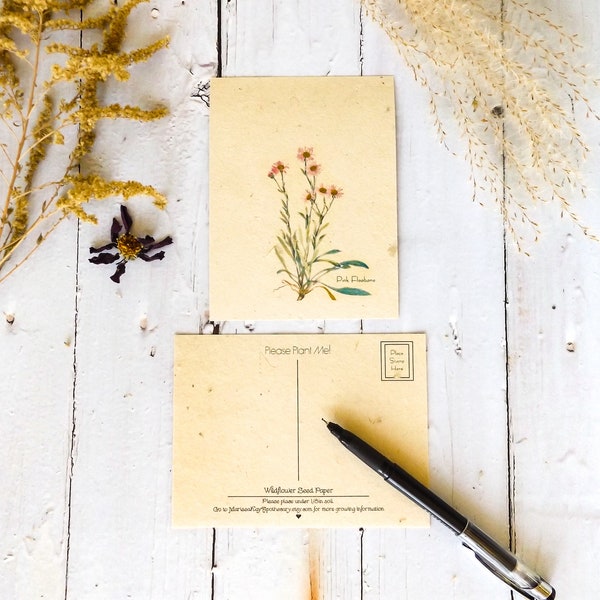Plantable Seed Postcards || Eco-Friendly Gift || Supporting Women In Nepal || Pink Fleabane