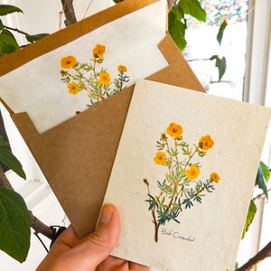 Wildblumensamen Papierkarten || Umschläge mit Samenpapier gefüttert || Unterstützt Frauen in Nepal || Umweltfreundlich