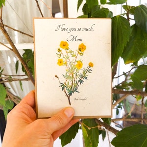 Cartes en papier semences pour la fête des mères || Soutenir les femmes au Népal || Papier de graines de fleurs sauvages à planter || Respectueux de la nature