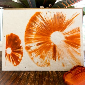 Cartes d'impression de spores plantables || Papier de graines de fleurs sauvages || Cadeau écologique || Soutenir les femmes au Népal
