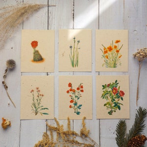 Plantable Seed Paper Postcards Eco-Friendly Gift Variety 6 Pack image 2