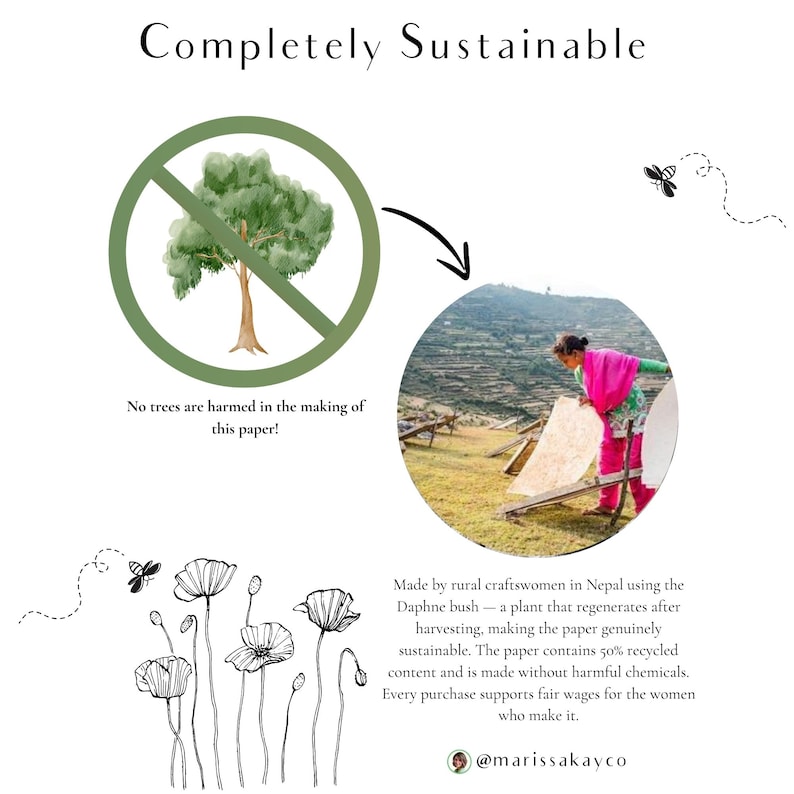 May include: An image promoting sustainable paper. It features a tree crossed out in a green circle, a woman working with paper, and text stating the paper is made from the Daphne bush and is 50% recycled. The text also states that no trees are harmed in the making of this paper.