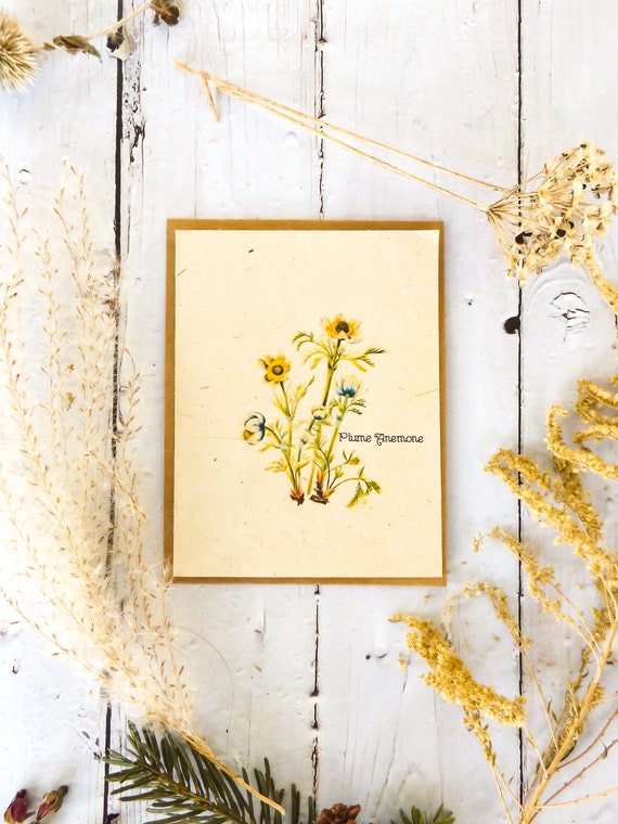 Plantable Vintage Botanical Cards Plune Anemone Wildflower Seed Paper Beyond Zero Waste