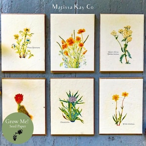 Mary Vaux Walcott Plantable Greeting Cards, Vintage Prints, Set of 6