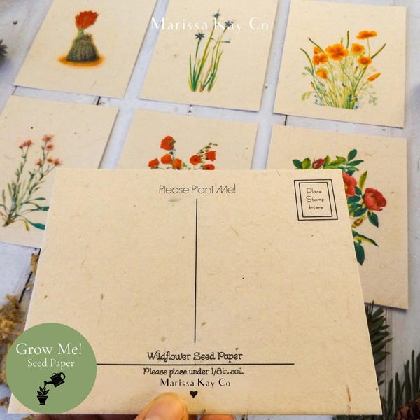 Postales plantables, papel con semillas de flores silvestres, juego de 6