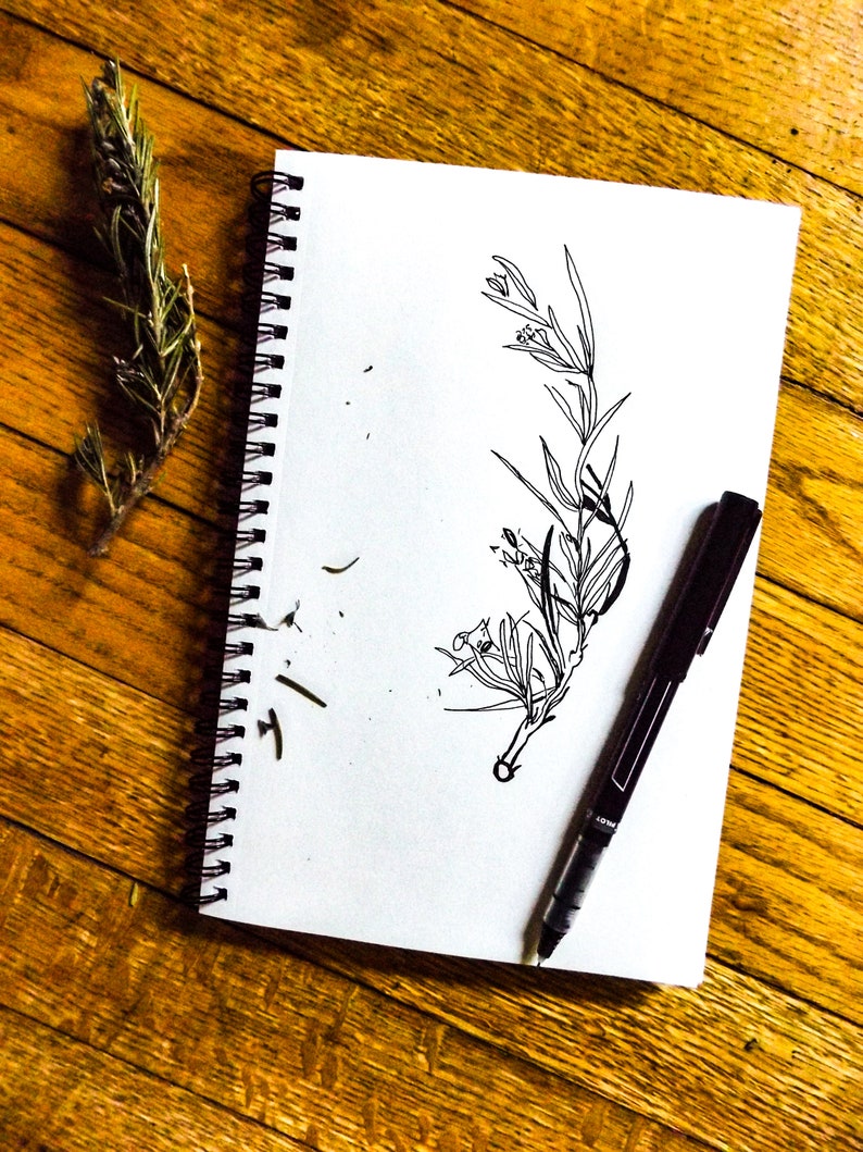 Hand Drawn Gift Card 6 Pack Rosemary Plantable Wildflower Seed Paper