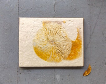 Spore Print Cards || 100ct Wildflower Seed Paper || Eco-Friendly || Supports Women In Nepal