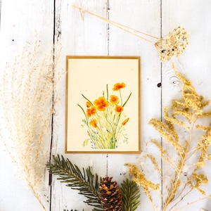 Bulk 50ct zaadpapierkaart met enveloppen || Milieuvriendelijk || Ondersteuning van vrouwen in Nepal || Mexicaanse papaver