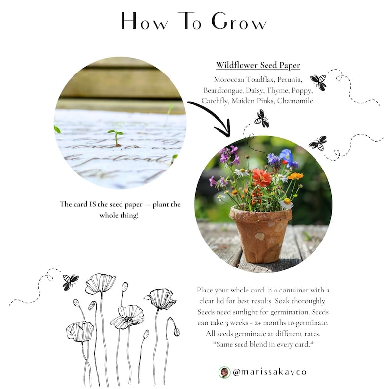 May include: An informational graphic titled "How To Grow" featuring a terracotta pot filled with colorful wildflowers. The text explains that the seed paper contains wildflower seeds, including Moroccan Toadflax, Petunia, and Poppy. The card itself is the seed paper.