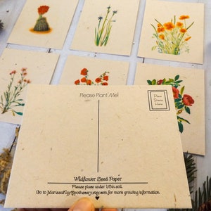 Plantable Seed Paper Postcards Eco-Friendly Gift Variety 6 Pack image 1