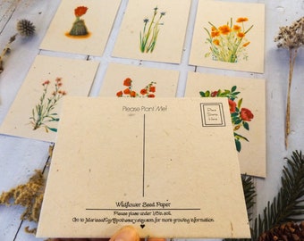 Cartes postales en papier semences à planter || Cadeau écologique || Lot de 6 variétés