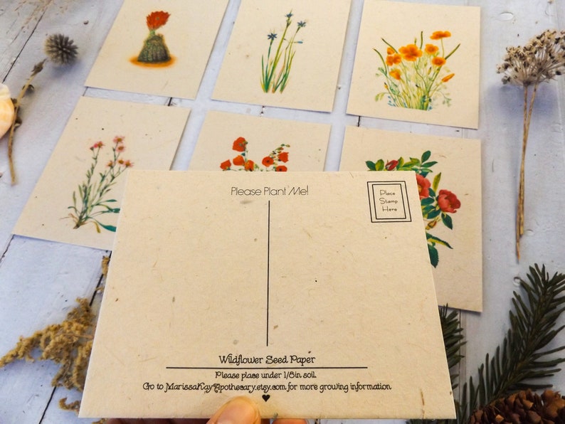 Plantable Seed Paper Postcards Eco-Friendly Gift Variety 6 Pack image 1