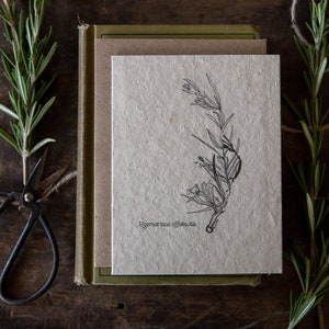 Hand Drawn Gift Card || Plantable Wildflower Seed Paper || Eco-Freindly || Rosemary