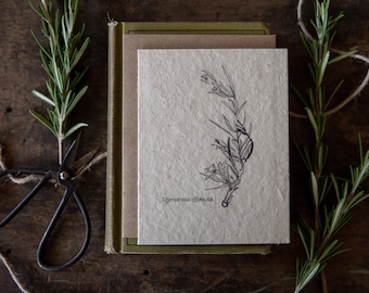 Hand Drawn Gift Card || Plantable Wildflower Seed Paper || Eco-Freindly || Rosemary