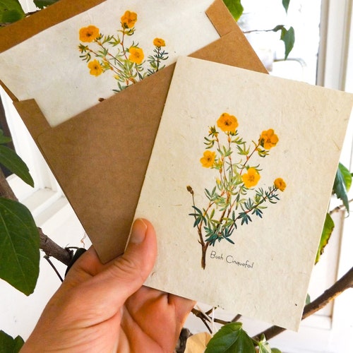 Cartes de papier de graines de fleurs sauvages || Enveloppes doublées de papier semences || soutient les femmes au Népal || Respectueux de la nature