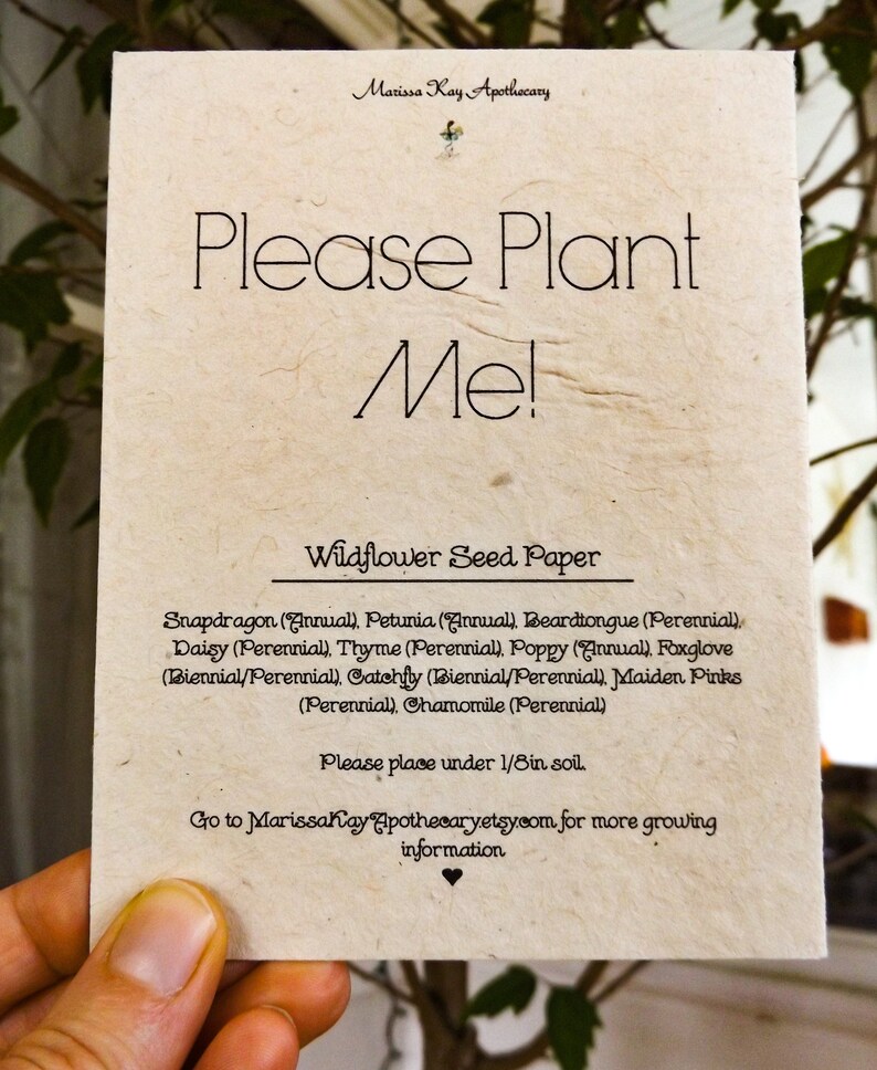 Hand Drawn Gift Card 6 Pack Rosemary Plantable Wildflower Seed Paper