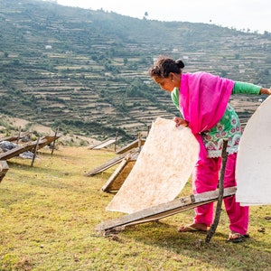 Pflanzliche Samen Karten Mit Umschlägen Winter Vielfalt Pack Umweltfreundlich Unterstützt Frauen in Nepal Bild 6