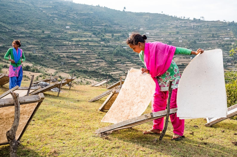 Pflanzliche Samen Karten Mit Umschlägen Winter Vielfalt Pack Umweltfreundlich Unterstützt Frauen in Nepal Bild 6