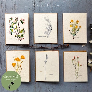 May include: Six seed paper greeting cards with botanical illustrations. The cards feature drawings and pressed flowers of various plants, including Wild Sweet Crab, and Black Candied. The cards are displayed on a rustic wooden surface.
