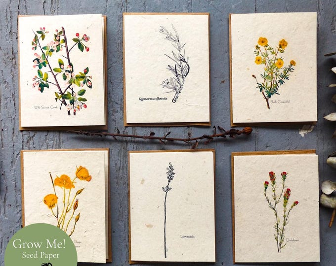 Plantable Wildflower Seed Paper Greeting Cards, Botanical Eco Friendly Gift Set of 6