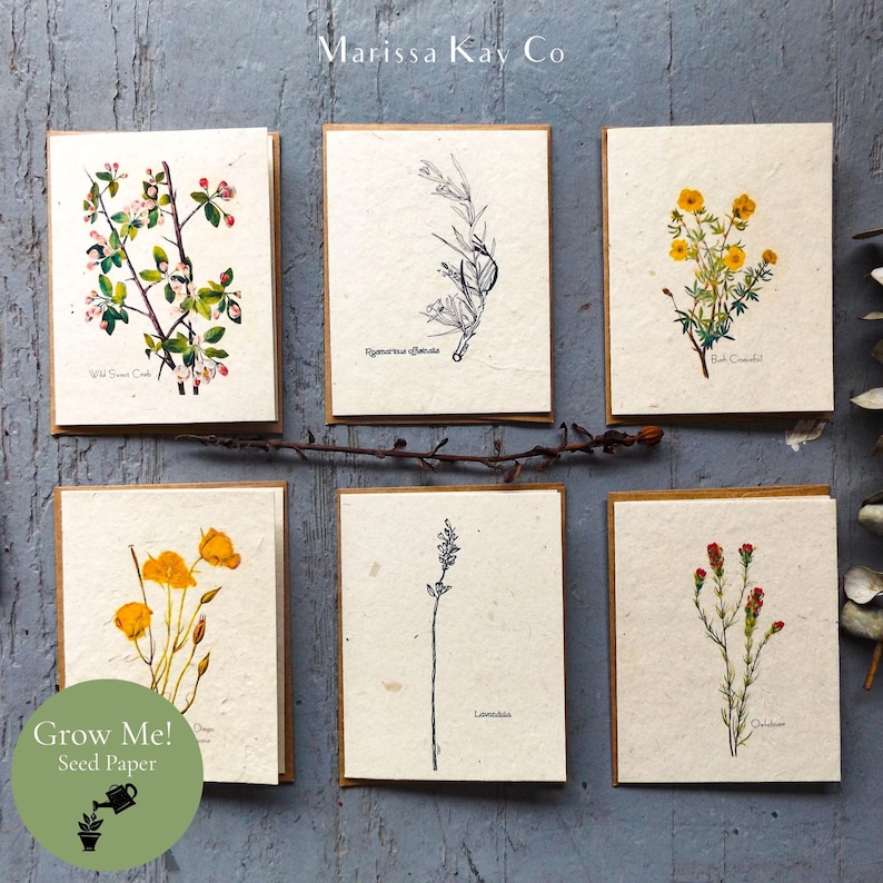 May include: Six seed paper greeting cards with botanical illustrations. The cards feature drawings and pressed flowers of various plants, including Wild Sweet Crab, and Black Candied. The cards are displayed on a rustic wooden surface.