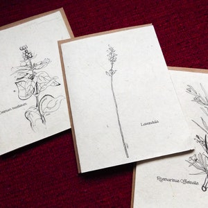 Cartes à planter dessinées à la main || Papier de graines de fleurs sauvages || Lot de 6 || Cadeau écologique || Soutenir les femmes au Népal