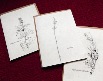 Hand Drawn Plantable Cards || Wildflower Seed Paper || 6 pack || Eco-Friendly Gift || Supporting Women In Nepal