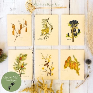 Plantable Vintage Greeting Cards with Envelopes, Wildflower Seed Paper, Set of 6
