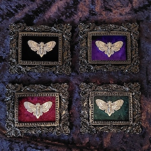 Gothic Miniature Framed Death&#39;s Head Moth Ornate Wall Decor Baroque Frame